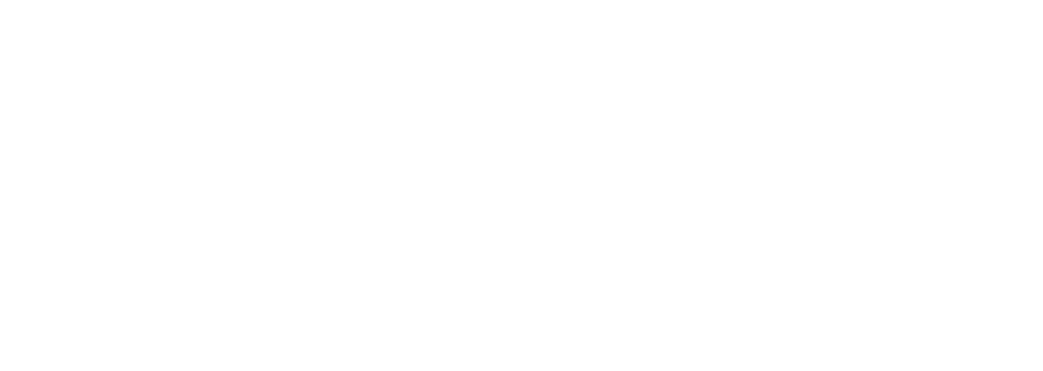 Rolfes SDG Academy